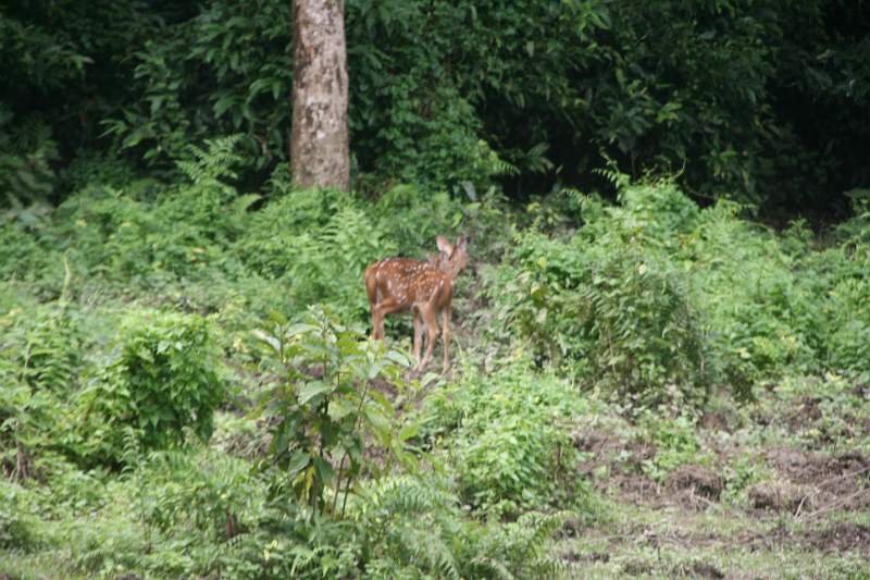 India & Nepal 2011 - 0546